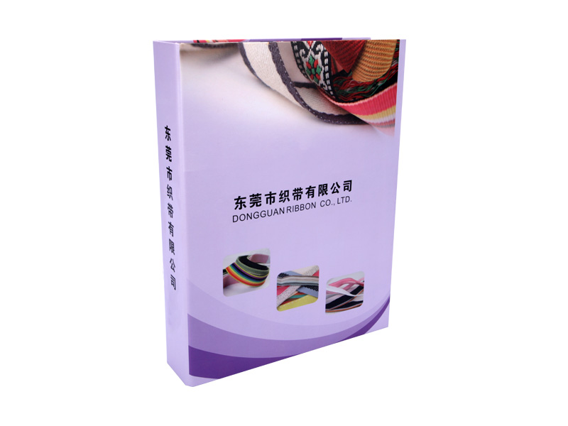 活頁(yè)紙質(zhì)文件夾